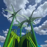 Palm Topper 4