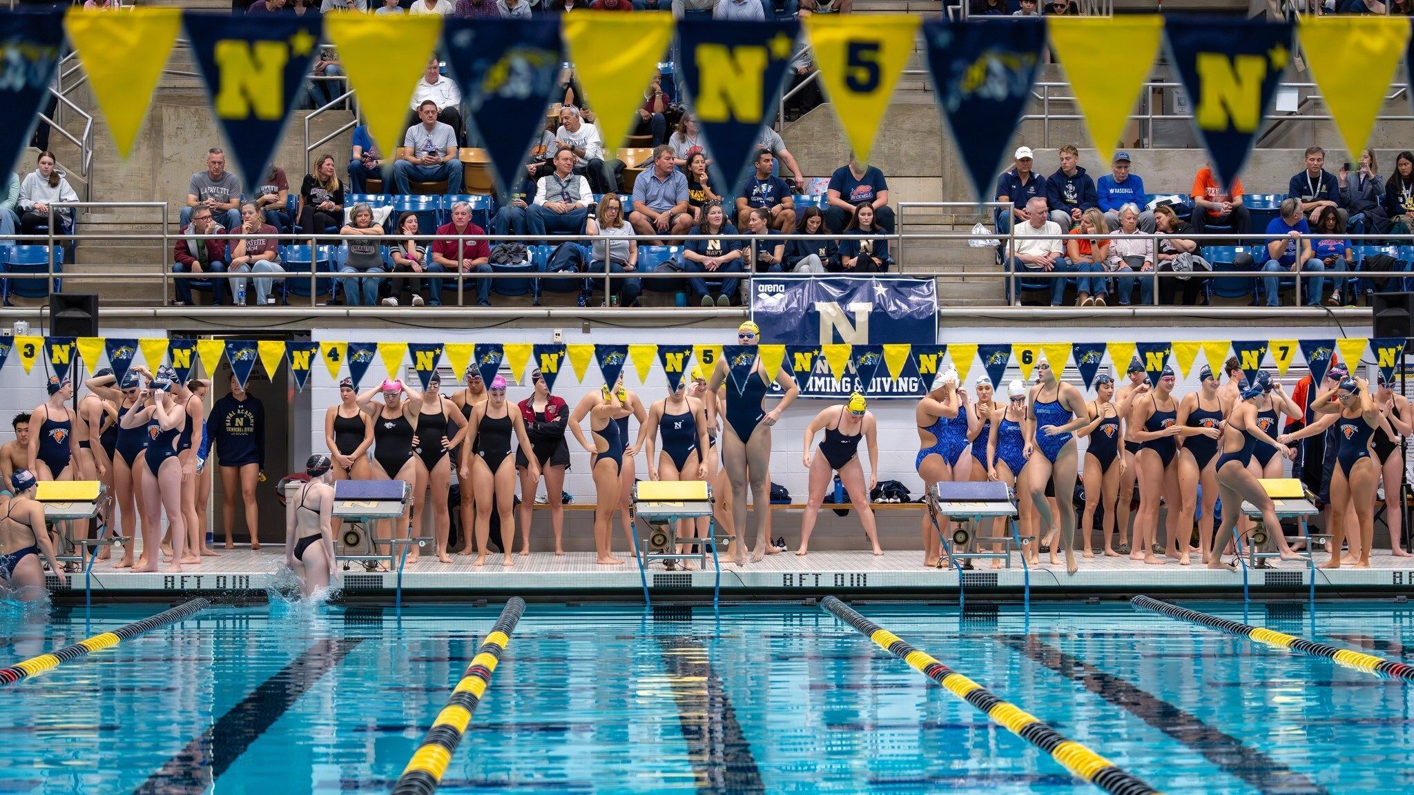 Athletes jumping from Spectrum Aquatics Swim Starting Blocks