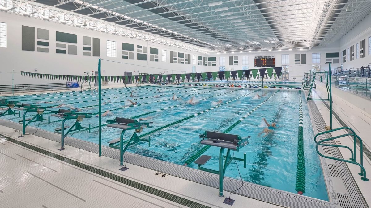Custom Powder Coated Stainless Steel equipment at indoor pool