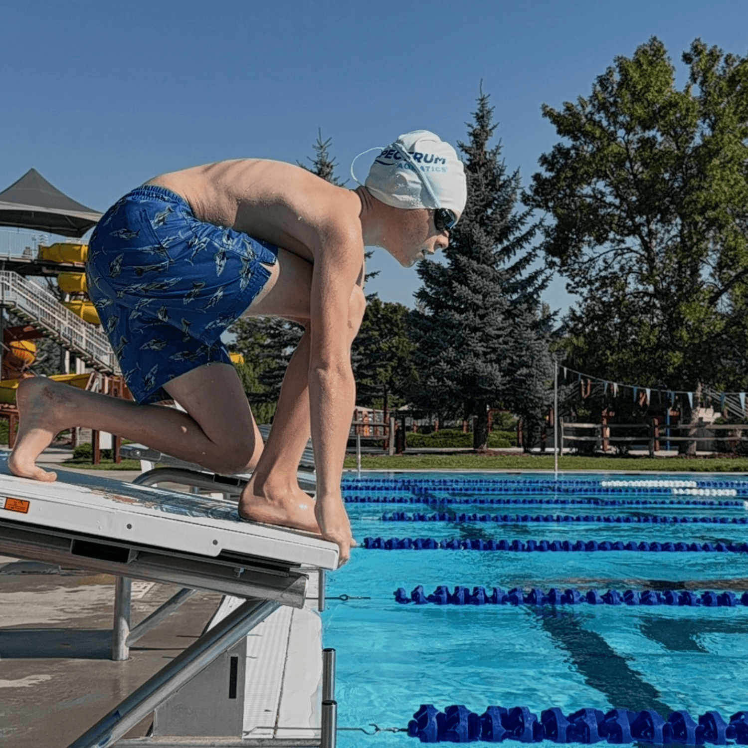 Boy on Dash swimming starting block
